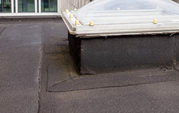 disadvantages of South Thoresby flat roofs