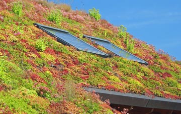 South Thoresby living roof systems